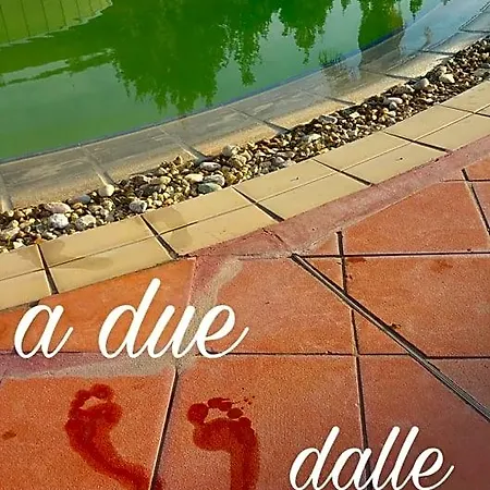 A Due Passi Dal Mare Bed and breakfast Acquappesa